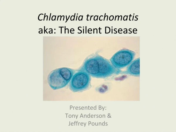 Chlamydia trachomatis aka: The Silent Disease