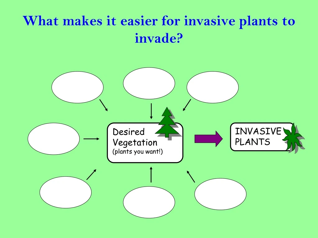 what makes it easier for invasive plants to invade