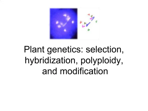 Plant genetics: selection, hybridization, polyploidy, and modification