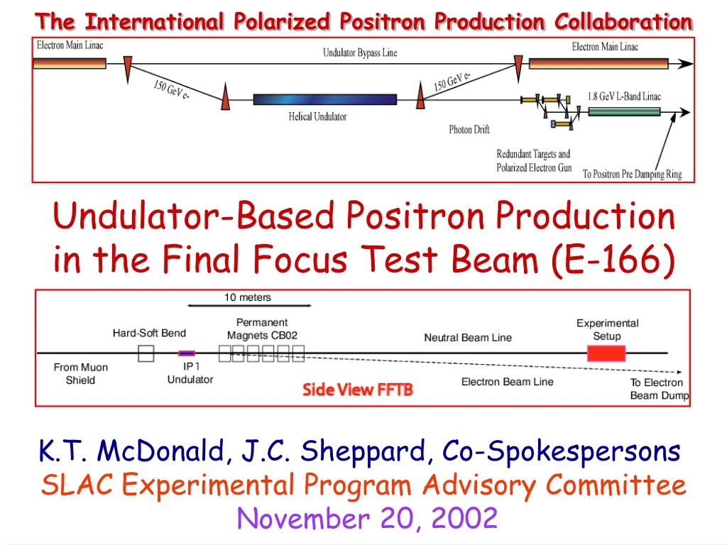 the international polarized positron production