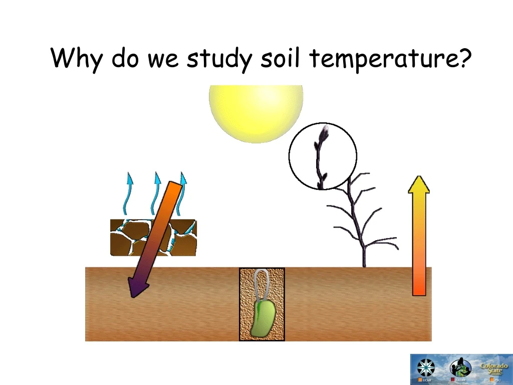 why do we study soil temperature