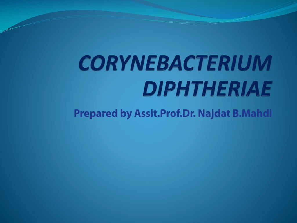 corynebacterium diphtheriae