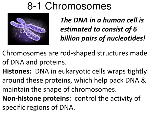 8-1 Chromosomes