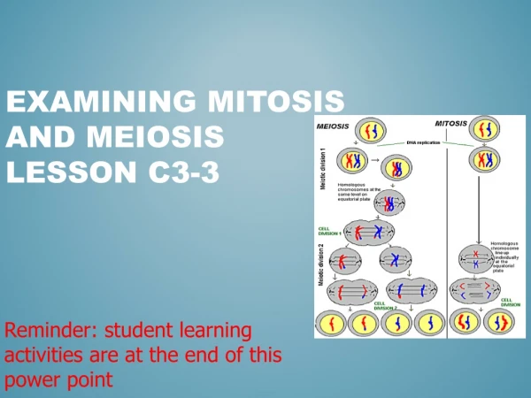 Examining Mitosis and Meiosis Lesson C3-3