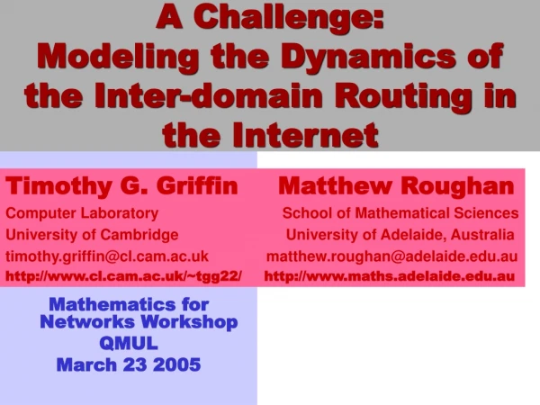 A Challenge: Modeling the Dynamics of the Inter-domain Routing in the Internet