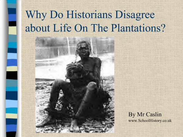 Why Do Historians Disagree about Life On The Plantations