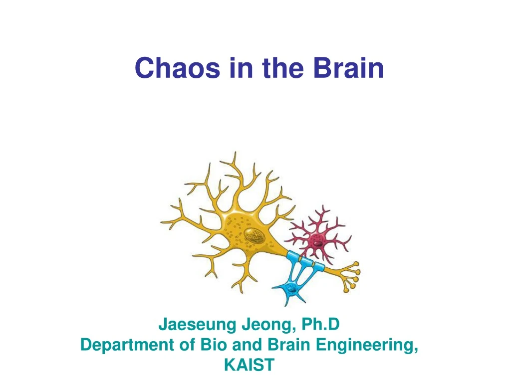 chaos in the brain