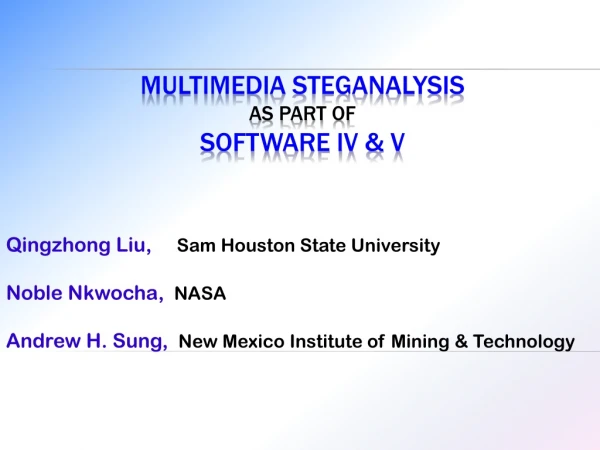 Multimedia Steganalysis as Part of Software IV &amp; V
