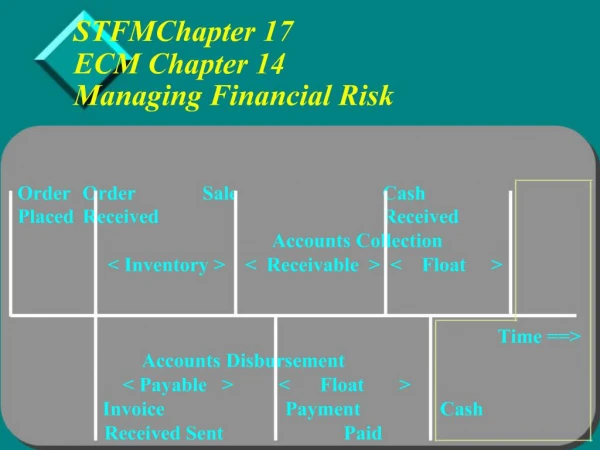 STFMChapter 17 ECM Chapter 14 Managing Financial Risk