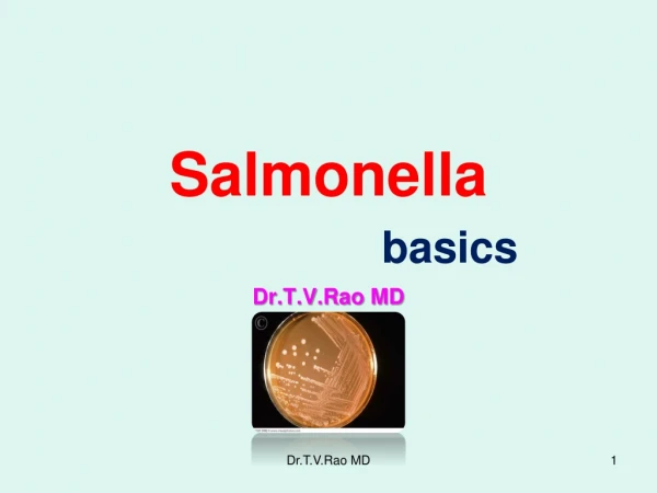 Salmonella basics
