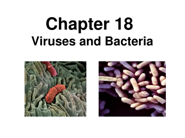 Chapter 18 Viruses and Bacteria