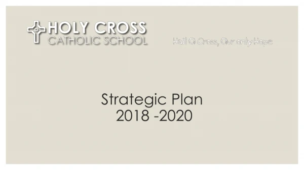 Strategic Plan 2018 -2020