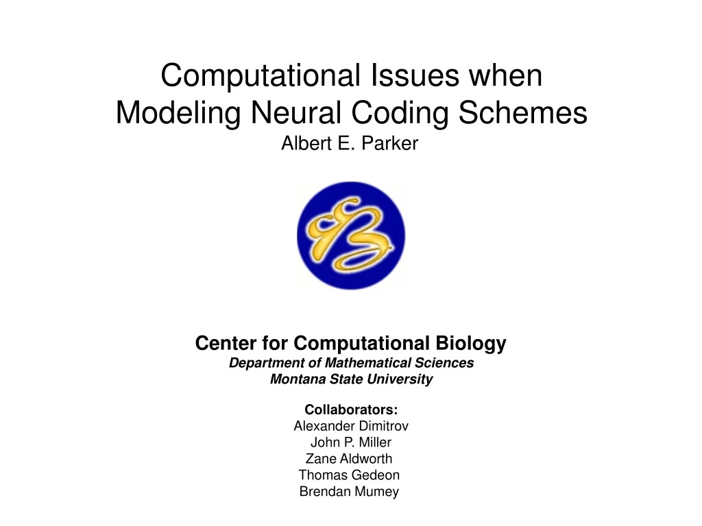 computational issues when modeling neural coding
