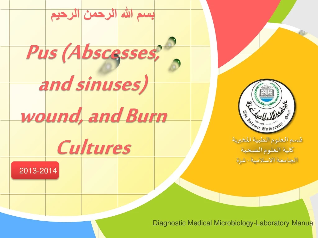 pus abscesses and sinuses wound and burn cultures