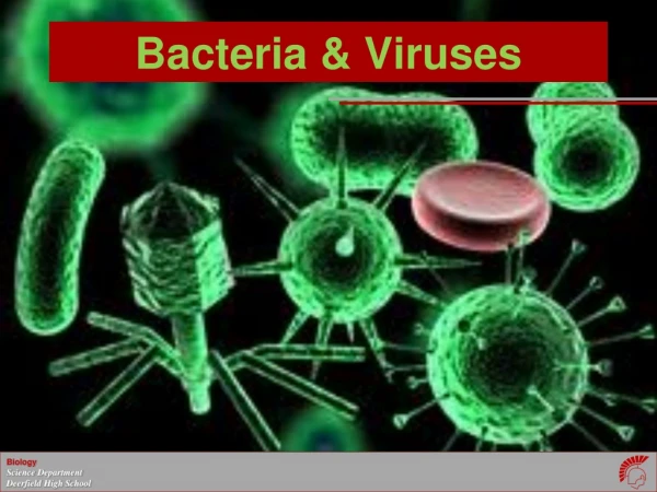 Bacteria &amp; Viruses