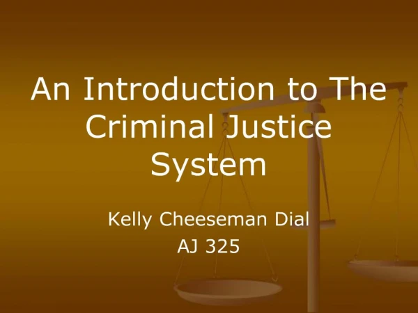 An Introduction to The Criminal Justice System