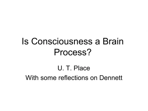Is Consciousness a Brain Process
