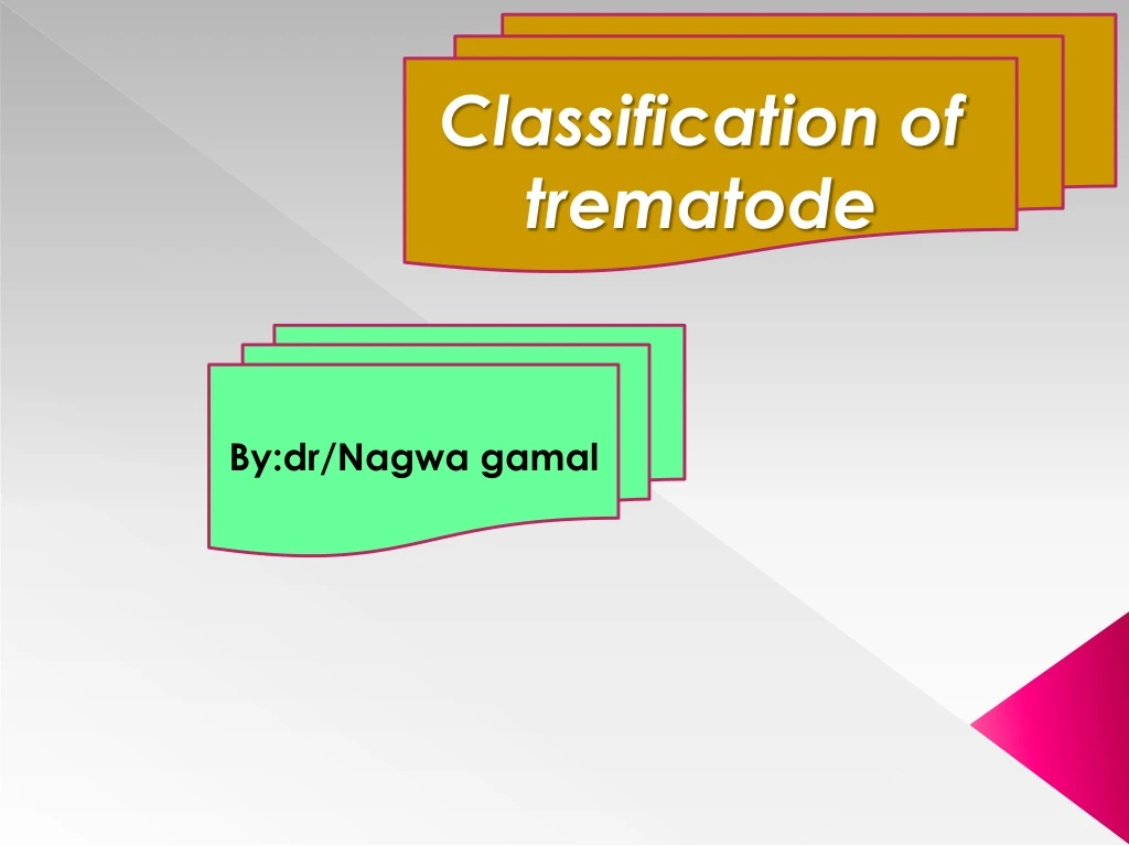 classification of trematode