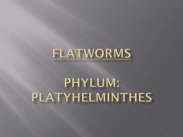Flatworms Phylum: PLATYHELMINTHES