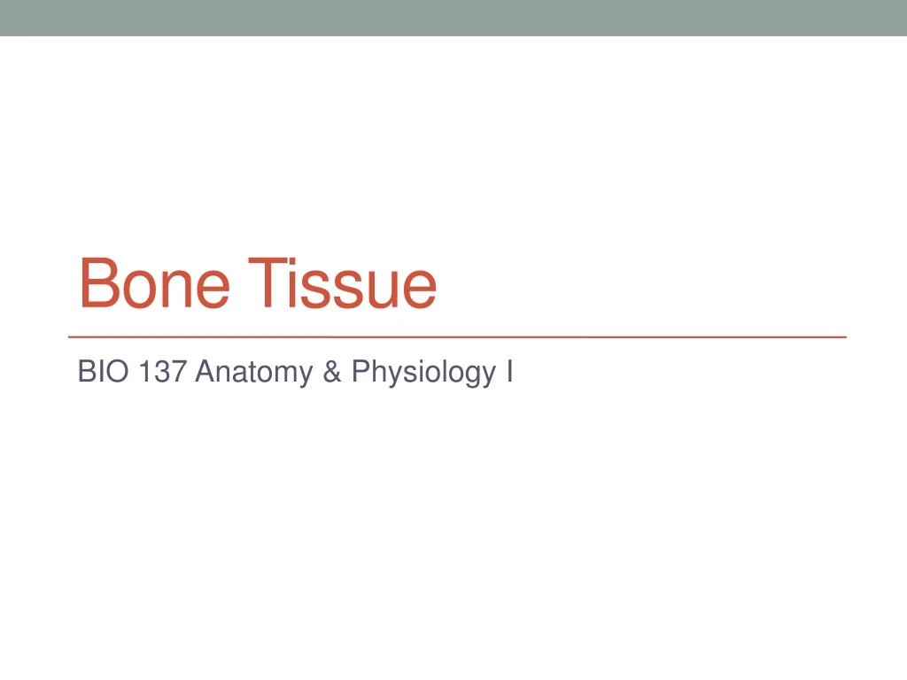 bone tissue