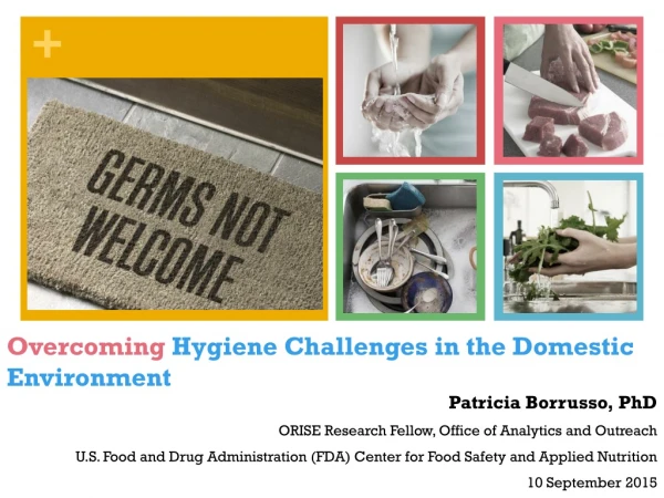Overcoming Hygiene Challenges in the Domestic Environment
