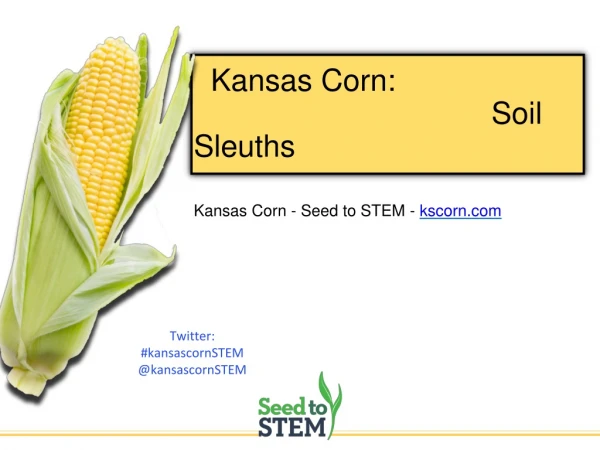 Kansas Corn: 								Soil Sleuths