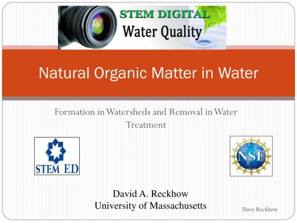 Natural Organic Matter in Water