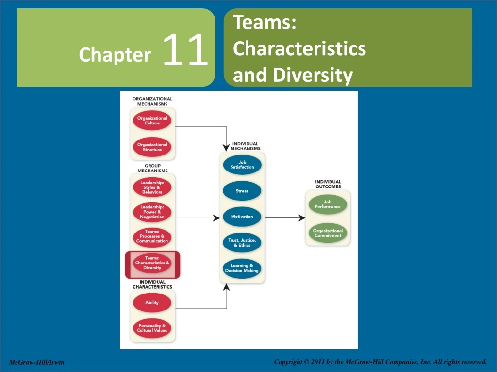 teams characteristics and diversity