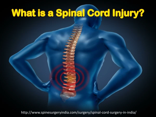 What is a Spinal Cord Injury?