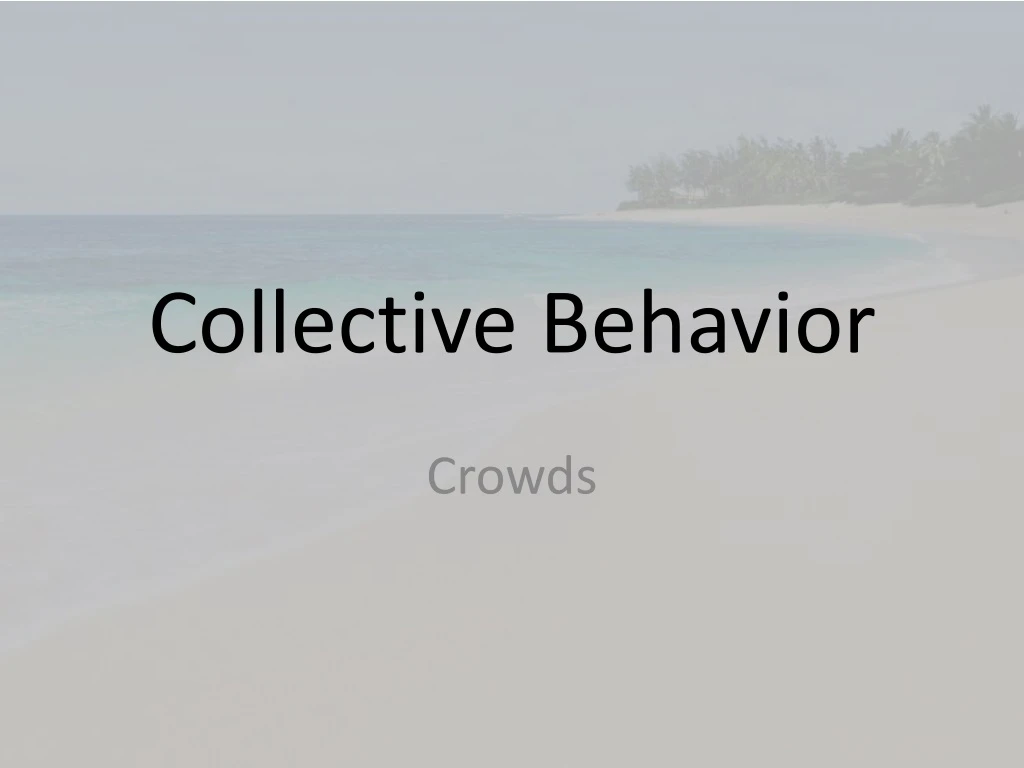 collective behavior