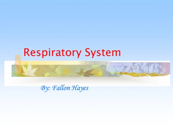 Respiratory System