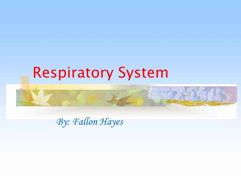 respiratory system