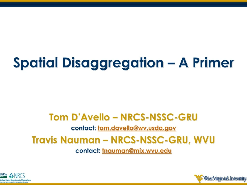 spatial disaggregation a primer