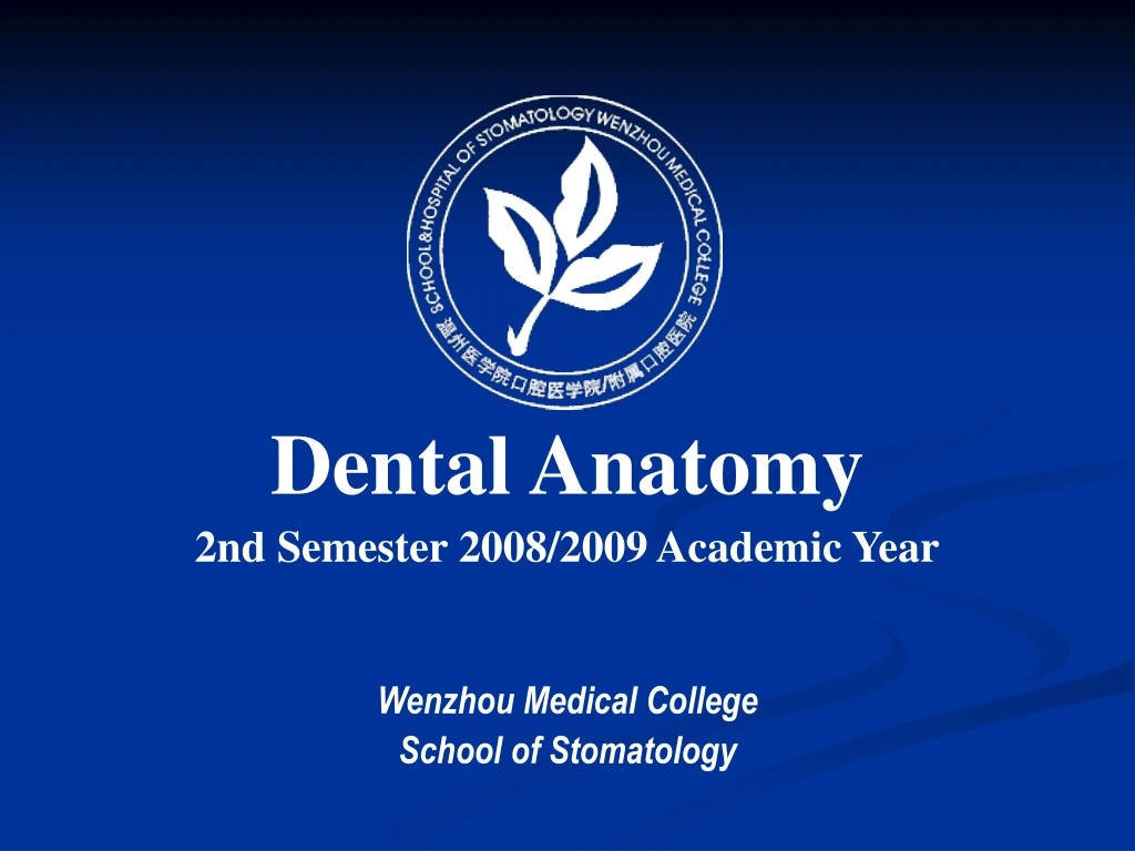 dental anatomy 2nd semester 2008 2009 academic