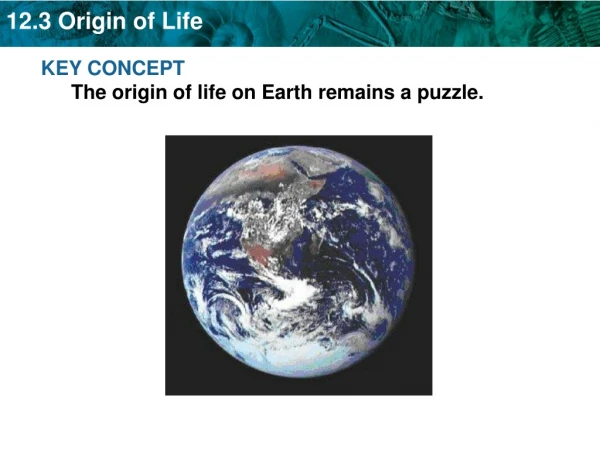 KEY CONCEPT The origin of life on Earth remains a puzzle.