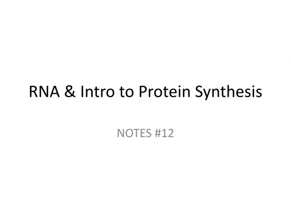 RNA &amp; Intro to Protein Synthesis