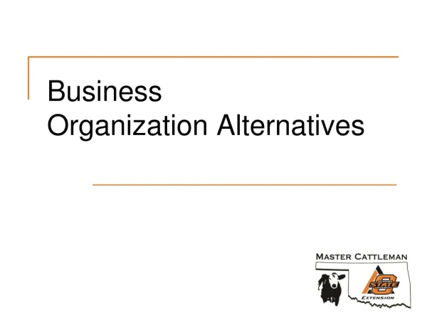 Business Organization Alternatives
