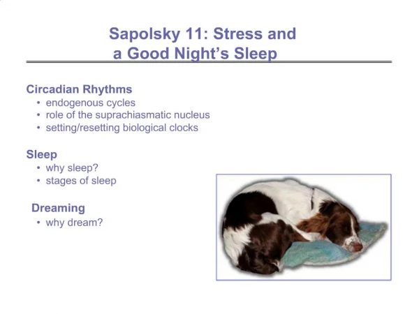 Sapolsky 11: Stress and a Good Night s Sleep