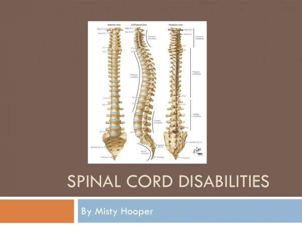 Spinal Cord Disabilities