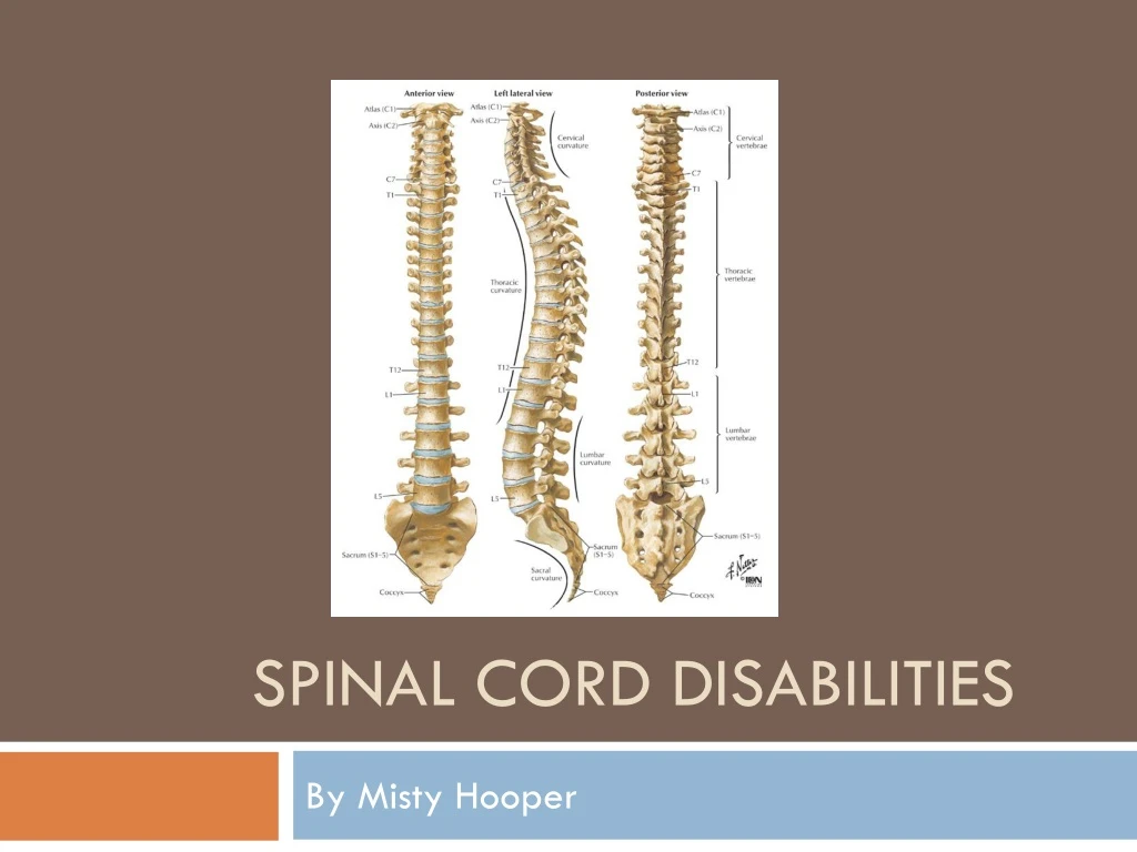 spinal cord disabilities