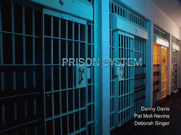 Prison System