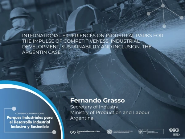 Fernando Grasso Secretary of Industry Ministry of Production and Labour Argentina