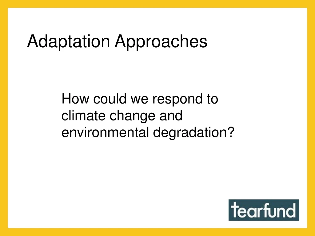 adaptation approaches