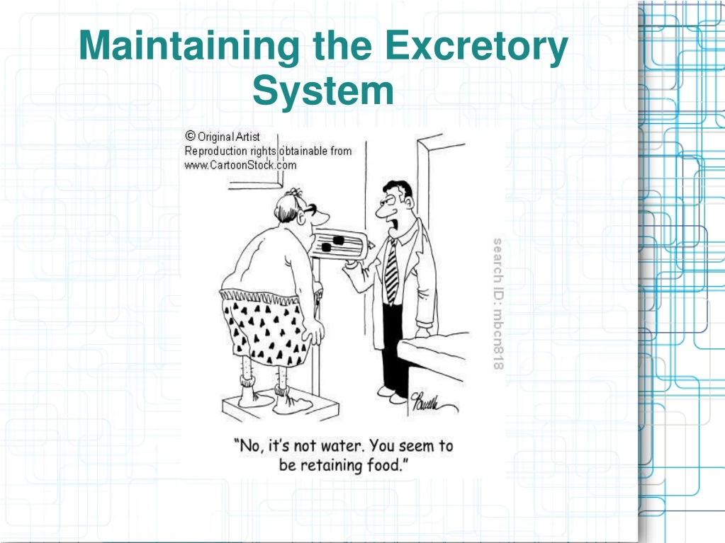 maintaining the excretory system