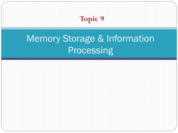 Memory Storage &amp; Information Processing