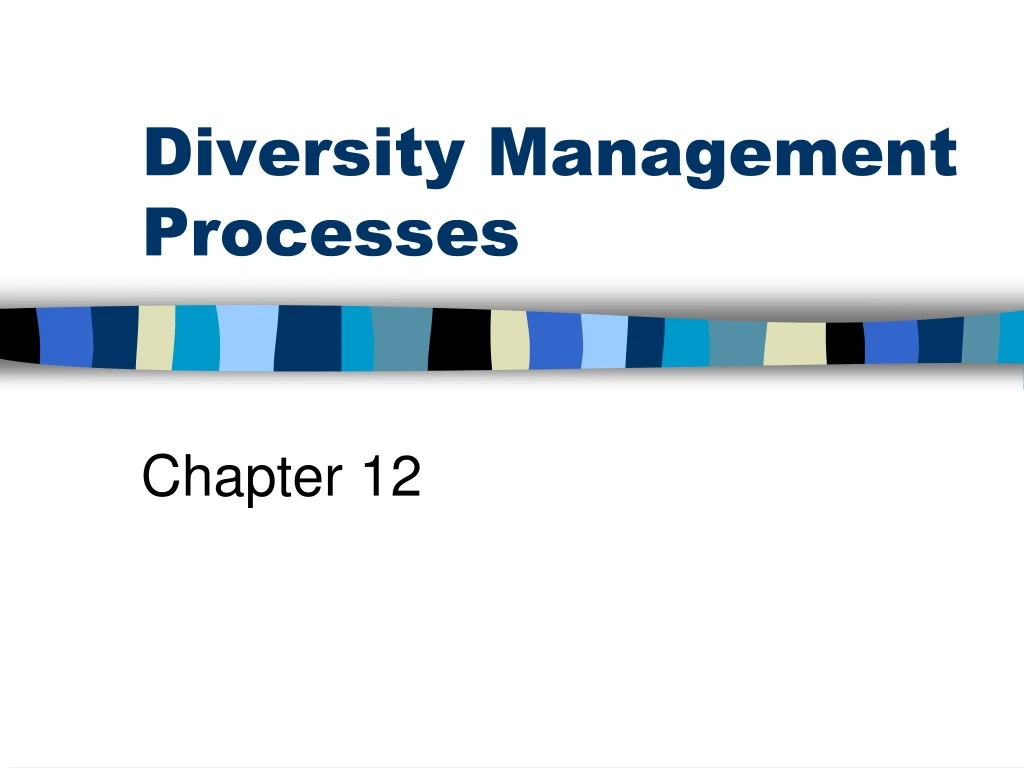 diversity management processes