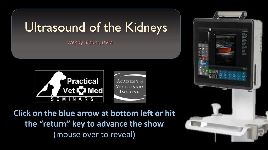 ultrasound of the kidneys