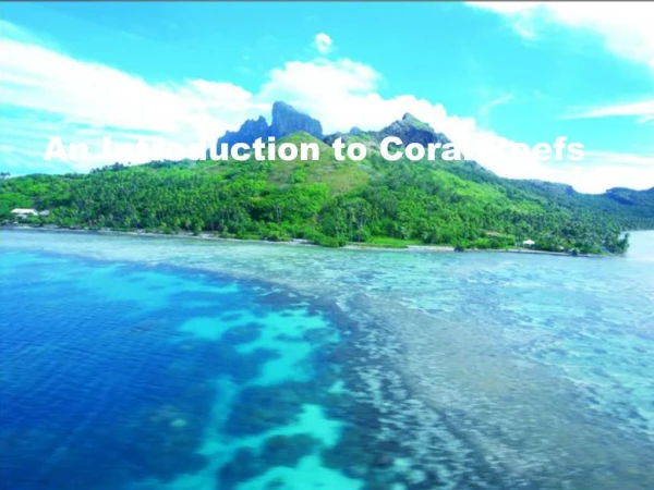 An Introduction to Coral Reefs