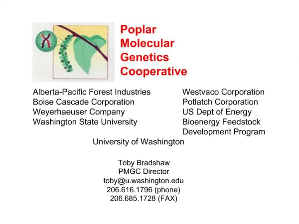 Poplar Molecular Genetics Cooperative