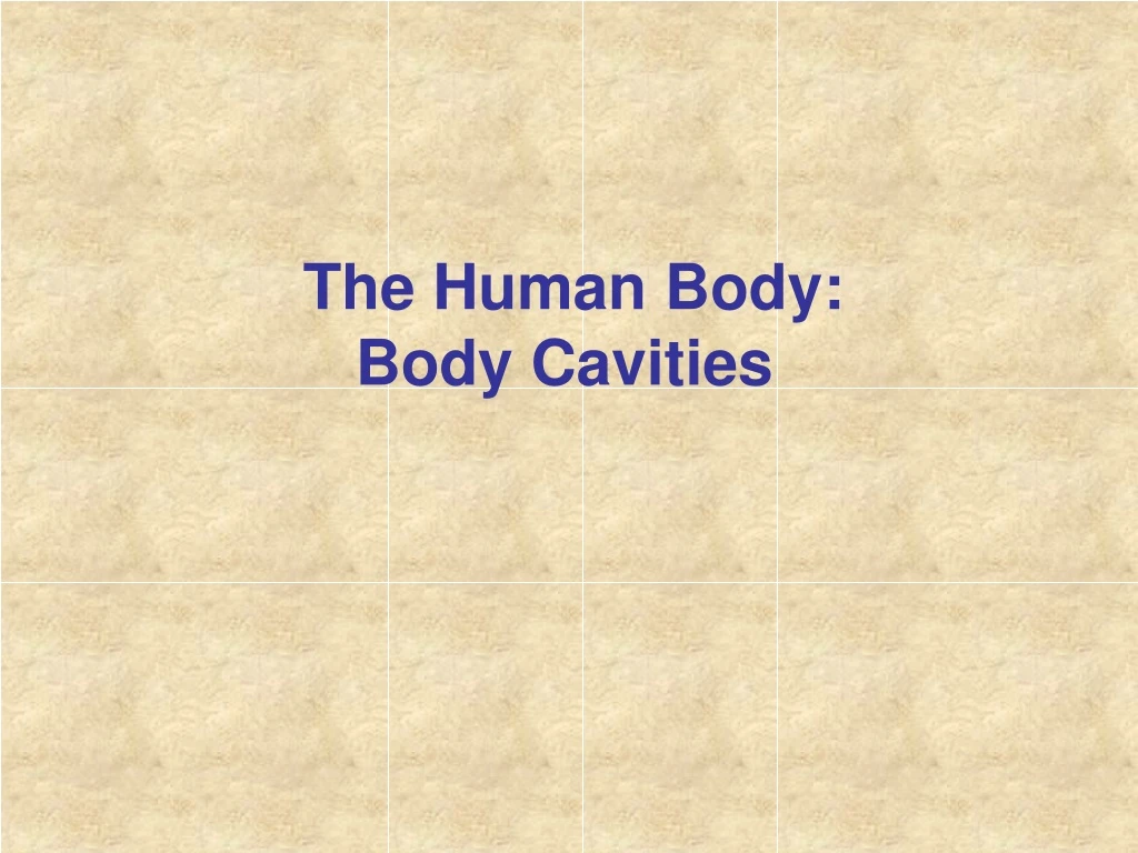 the human body body cavities
